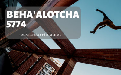 D’var: Beha’alotcha 5774