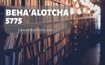 D’var: Beha’alotcha 5775