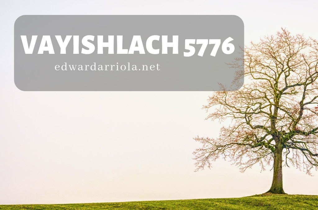 D’var: VaYishlach 5776