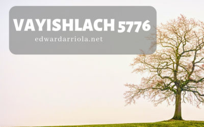 D’var: VaYishlach 5776