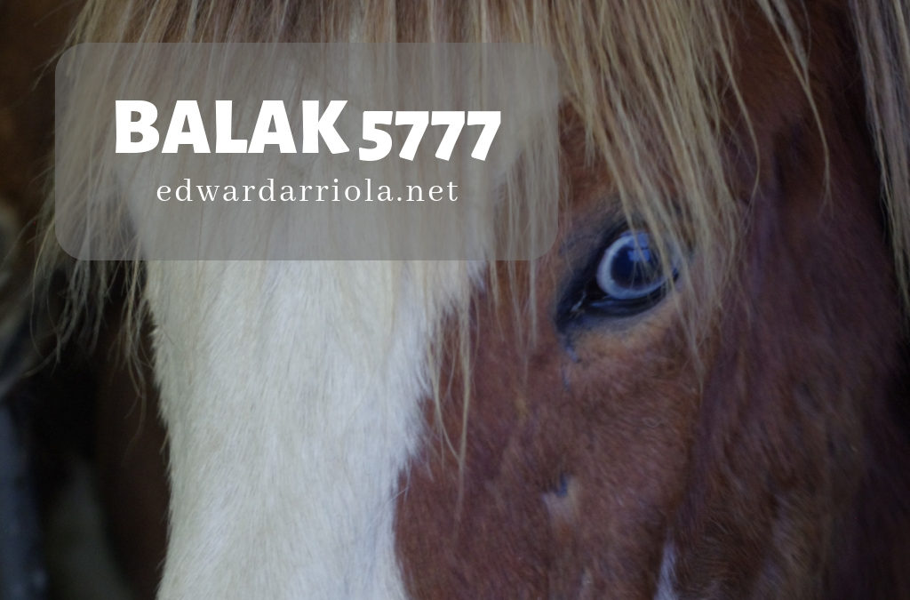 Balak 5777