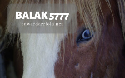 Balak 5777